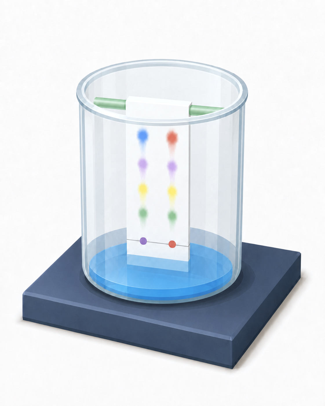Paper chromatography: a strip in a beaker of solvent, its dye spots separated into a coloured column