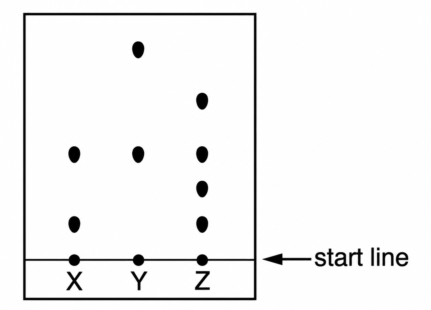 Chromatogram for colourless compounds X, Y and Z.